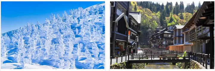 เลือกจากทัวร์กว่า 6,000 รายการ รวมถึง ชิรากาวะ โกะและชมธารน้ำแข็ง! แนะนำข้อเสนอการเดินทางสุดคุ้มในญี่ปุ่น