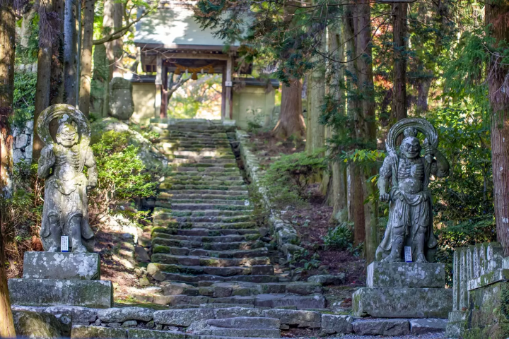 Autumn in Kyushu: 19 Fall Foliage Spots in Fukuoka, Oita, and Saga