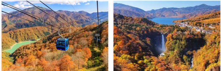 เลือกจากทัวร์กว่า 6,000 รายการ รวมถึง ชิรากาวะ โกะและชมธารน้ำแข็ง! แนะนำข้อเสนอการเดินทางสุดคุ้มในญี่ปุ่น