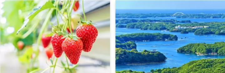 เลือกจากทัวร์กว่า 6,000 รายการ รวมถึง ชิรากาวะ โกะและชมธารน้ำแข็ง! แนะนำข้อเสนอการเดินทางสุดคุ้มในญี่ปุ่น