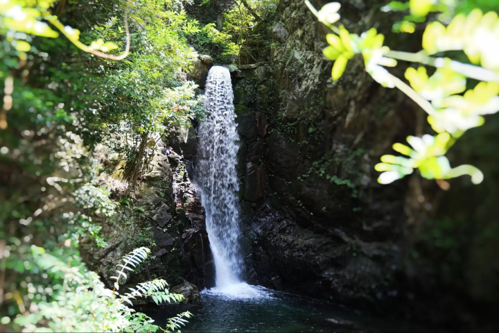 The waterfall at Tsuzumigataki Park