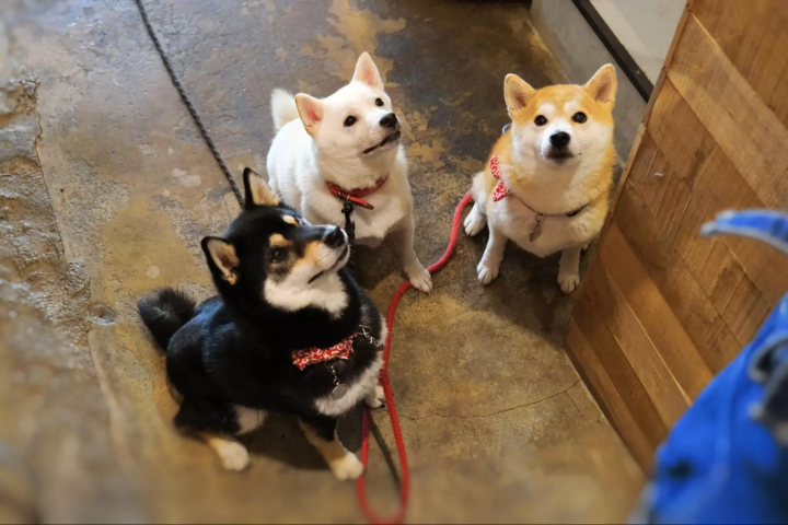 The cutest staff I've ever met!