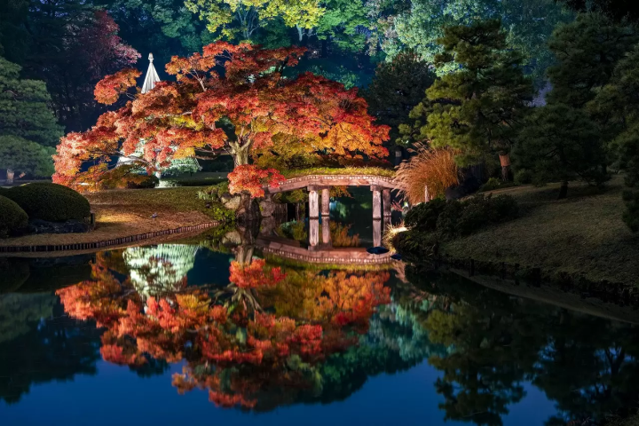 Fall Season in Japan