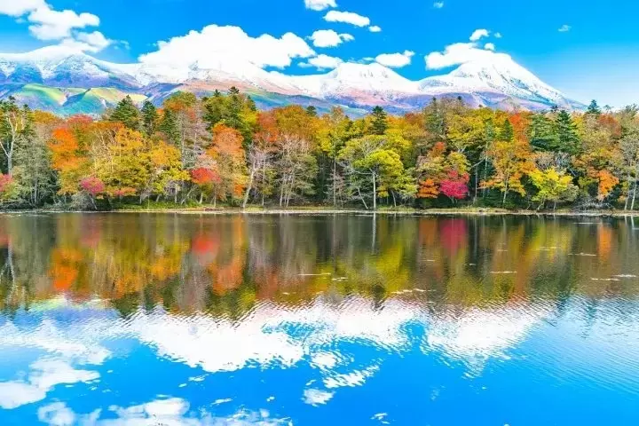 Japan Fall Foliage Forecast: 25 Destinations and Tips