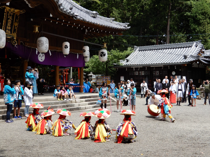 【日本遺産】草津市の民俗芸能である草津のサンヤレ踊りを徹底解説!!