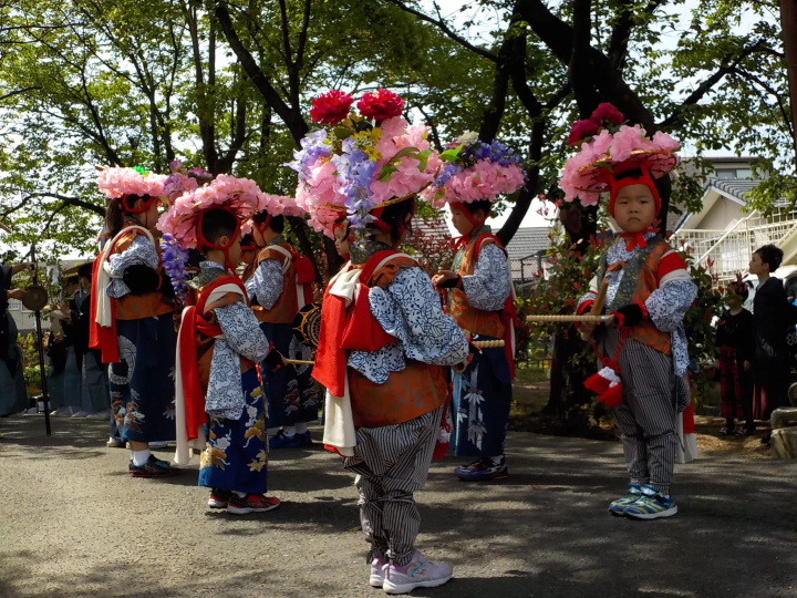 【日本遺産】草津市の民俗芸能である草津のサンヤレ踊りを徹底解説!!