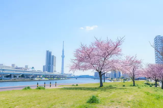 在東京也可以中秋烤肉!盤點東京適合BBQ的3個地點,和好友一起在異鄉賞月吧!