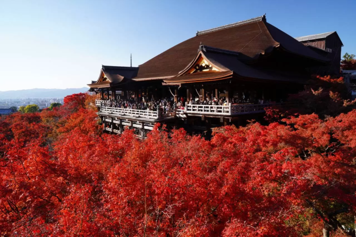 推薦8個秋冬旅遊景點