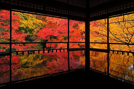 推薦8個秋冬旅遊景點