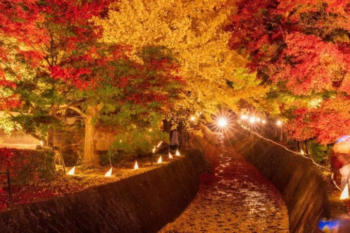 推薦8個秋冬旅遊景點