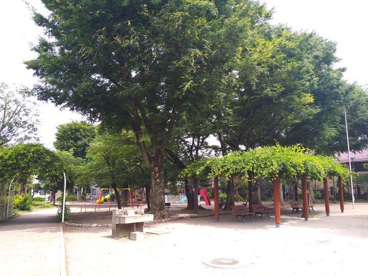 Have fun with the large playground equipment! We went to Shiroyama Park in Nakano, Tokyo