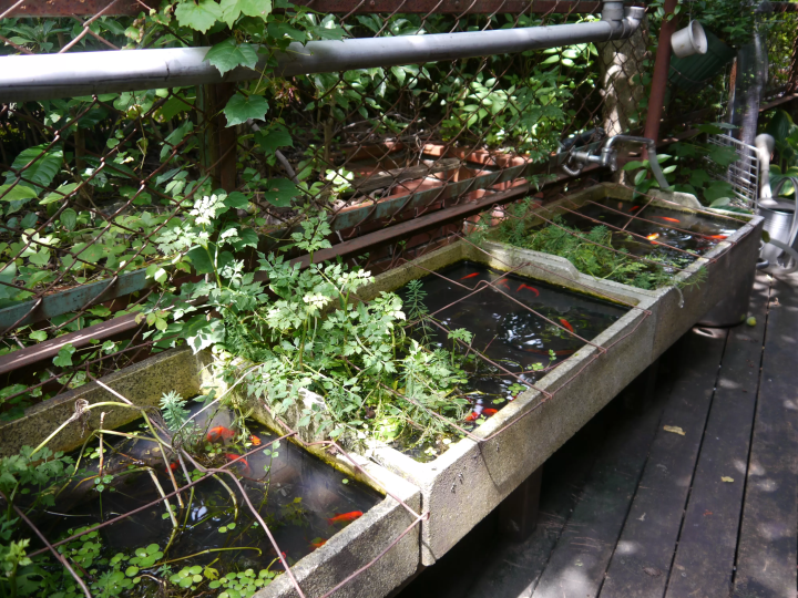 "Retro exploration of Nakano" - Part 1 of the underground drainage road in Nakano, Tokyo - A stroll along the Taoyuan River Greenway following the hidden river -