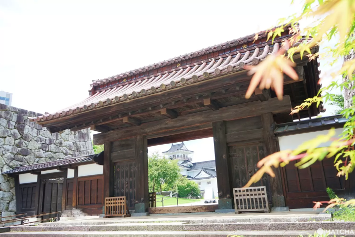 A Day in Toyama: River Cruise, Great Views, and Medicine History