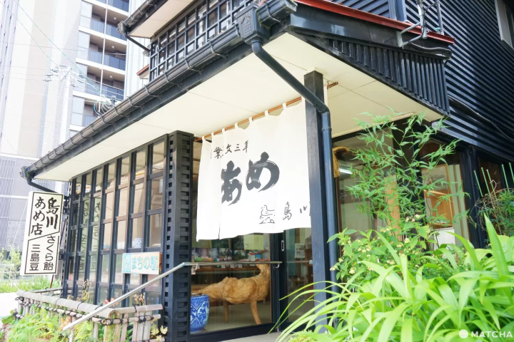 A Day in Toyama: River Cruise, Great Views, and Medicine History