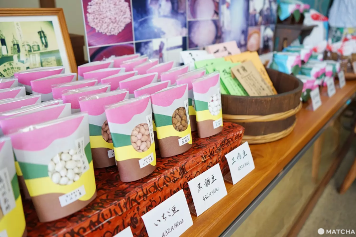 A Day in Toyama: River Cruise, Great Views, and Medicine History