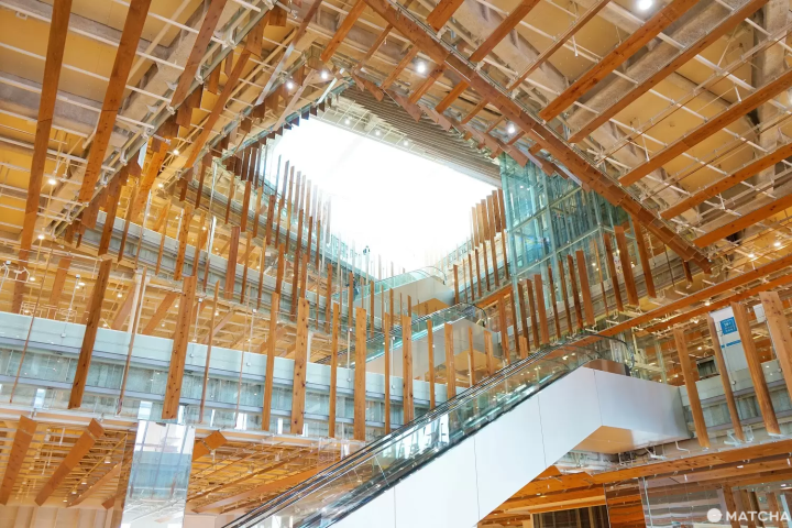 A Day in Toyama: River Cruise, Great Views, and Medicine History