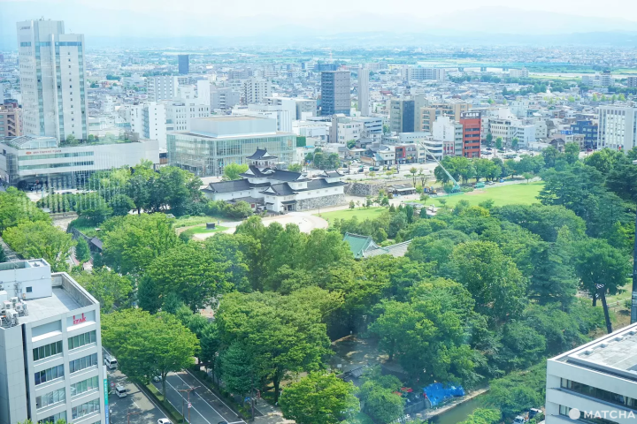A Day in Toyama: River Cruise, Great Views, and Medicine History