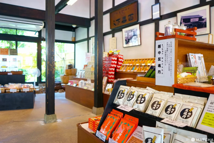 A Day in Toyama: River Cruise, Great Views, and Medicine History