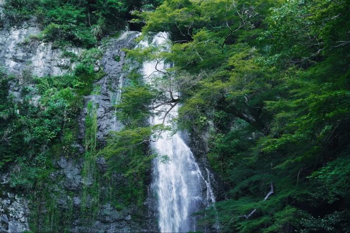 令人驚嘆的箕面瀑布