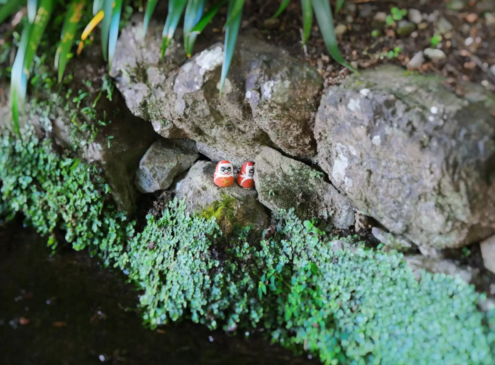 找到適合放置達磨的地方,簡直就像遊戲一樣。