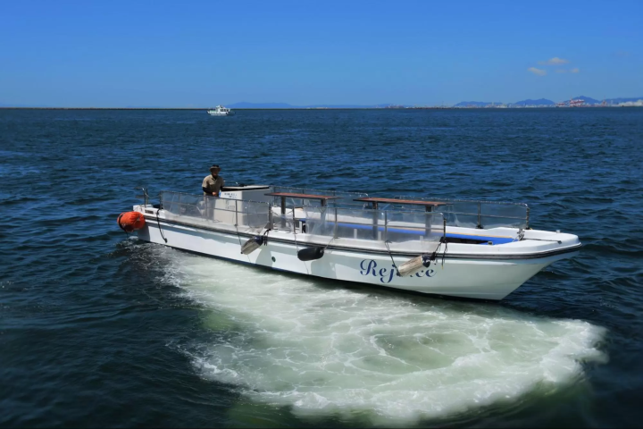 從自然到當地的靈魂食物和飲料:發現兵庫縣和大阪府的新一面吧