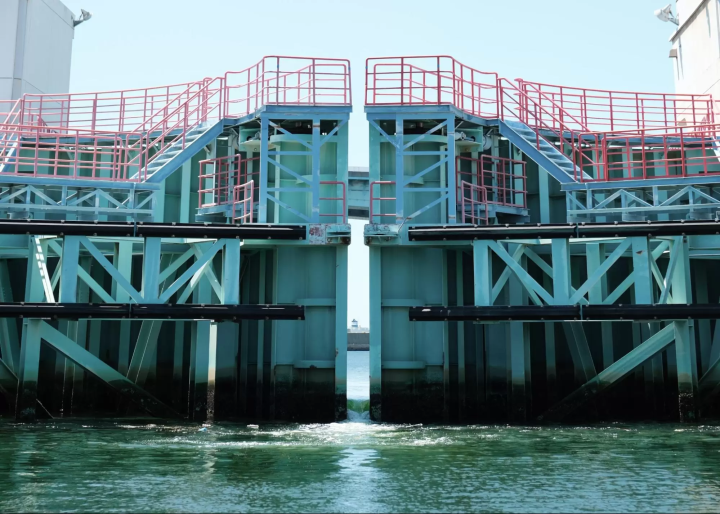 從自然到當地的靈魂食物和飲料:發現兵庫縣和大阪府的新一面吧