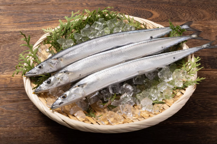 Sanma Pacific Saury