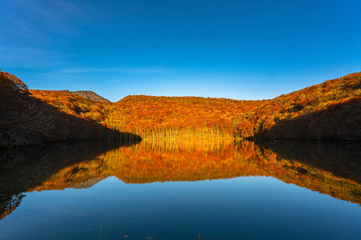 tsutanuma lake in Autumn