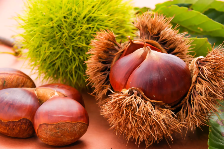 Chestnuts