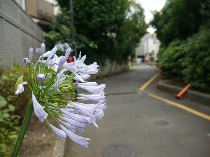 "Retrospective of Nakano" - Part 2 of Nakano's Underground Drains: Exploring the Tenjin River that used to flow from the north exit of Nakano Station -