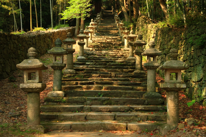 일본 나가사키 섬 탐험