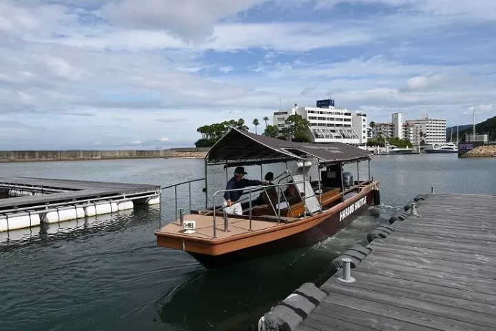 Sumoto Castle Town and its hot spring resort along the sea. How to enjoy Sumoto in Awaji Island.