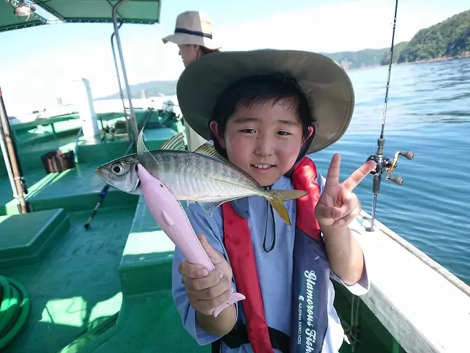 Sumoto Castle Town and its hot spring resort along the sea. How to enjoy Sumoto in Awaji Island.