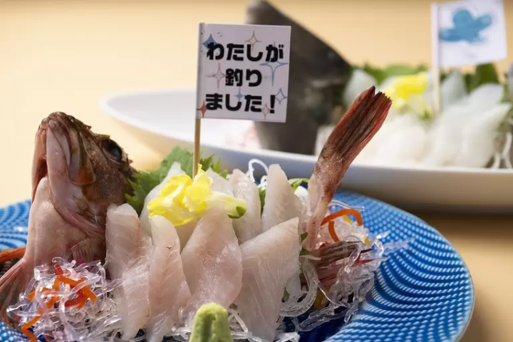 Sumoto Castle Town and its hot spring resort along the sea. How to enjoy Sumoto in Awaji Island.