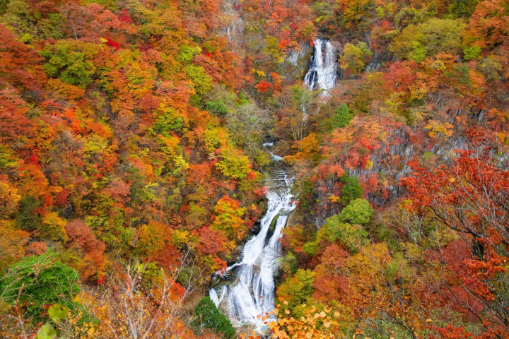 日光紅葉展現日本最佳景色