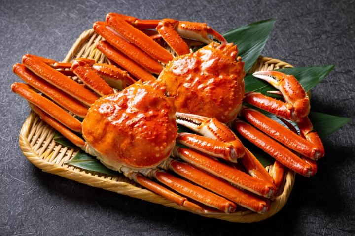 November in Japan: Weather, Events, Food and Travel Tips!