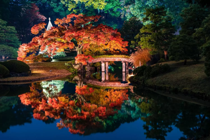 November in Japan: Weather, Events, Food and Travel Tips!