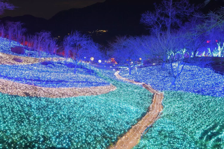 November in Japan: Weather, Events, Food and Travel Tips!