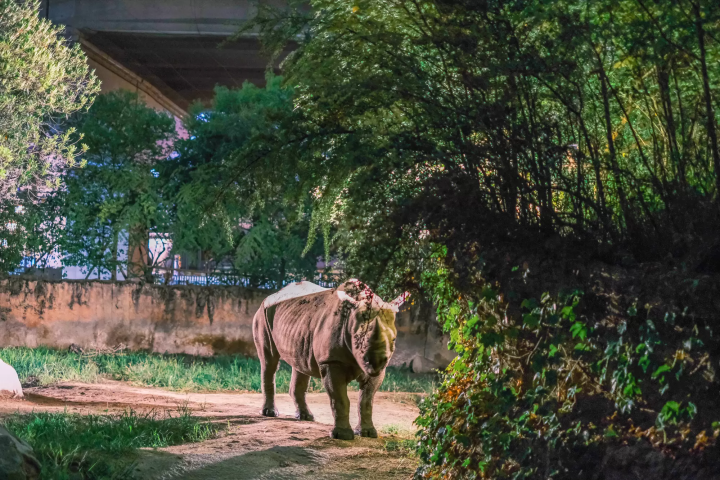 Osaka Nightlife Guide - Top Spots For A Memorable Evening Out