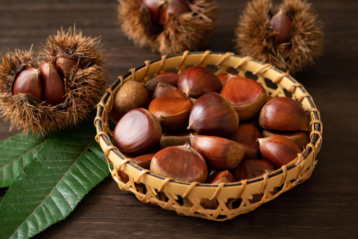 November in Japan: Weather, Events, Food and Travel Tips!