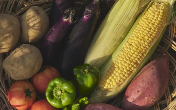 無印良品再開Airbnb！千葉「MUJI BASE OIKAWA」白天農家體驗、晚上數星星！