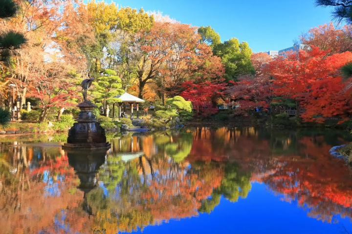 November in Japan: Weather, Events, Food and Travel Tips!