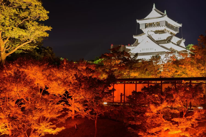 November in Japan: Weather, Events, Food and Travel Tips!