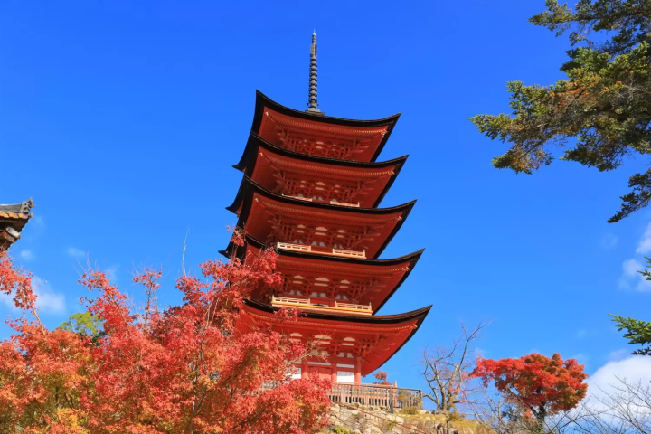 November in Japan: Weather, Events, Food and Travel Tips!