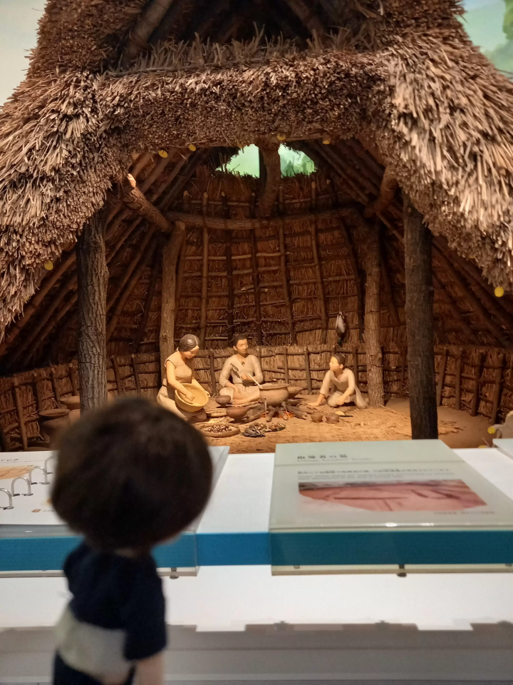 Nakano, Tokyo used to be like this!? A 500-year-old chestnut tree leads you through the history of Nakano at the Nakano City History and Folklore Museum