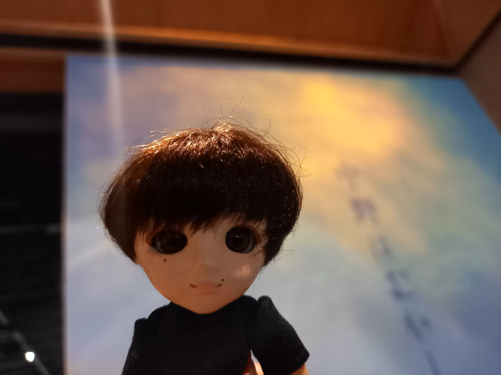 Nakano, Tokyo used to be like this!? A 500-year-old chestnut tree leads you through the history of Nakano at the Nakano City History and Folklore Museum