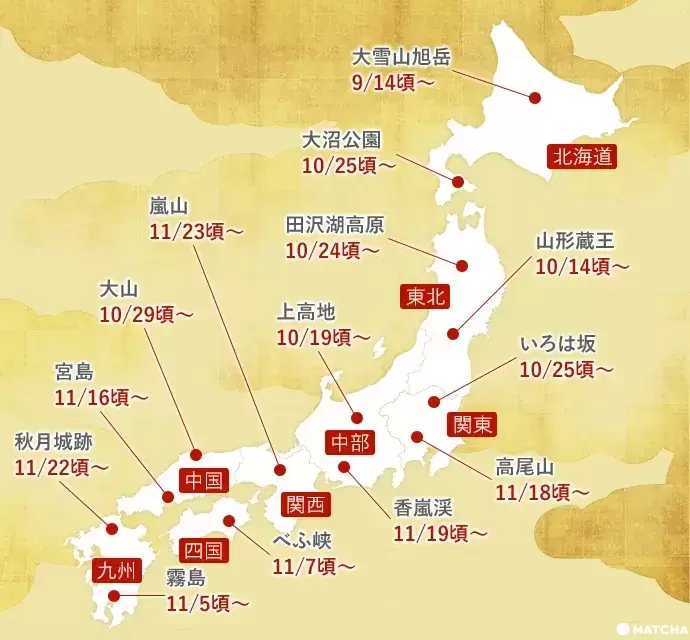 【2024最新】这些名胜・秘境也在！东京的红叶景点9选。最佳观赏期・灯光点亮资讯也一并介绍