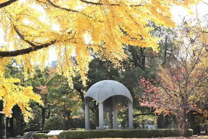Hiroshima: Top 10 Fall Foliage Spots