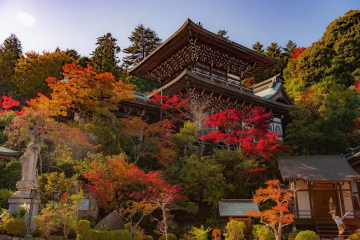 Hiroshima: Top 10 Fall Foliage Spots