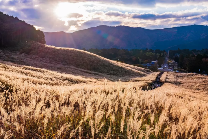 Hakone: Top 10 Fall Foliage Spots
